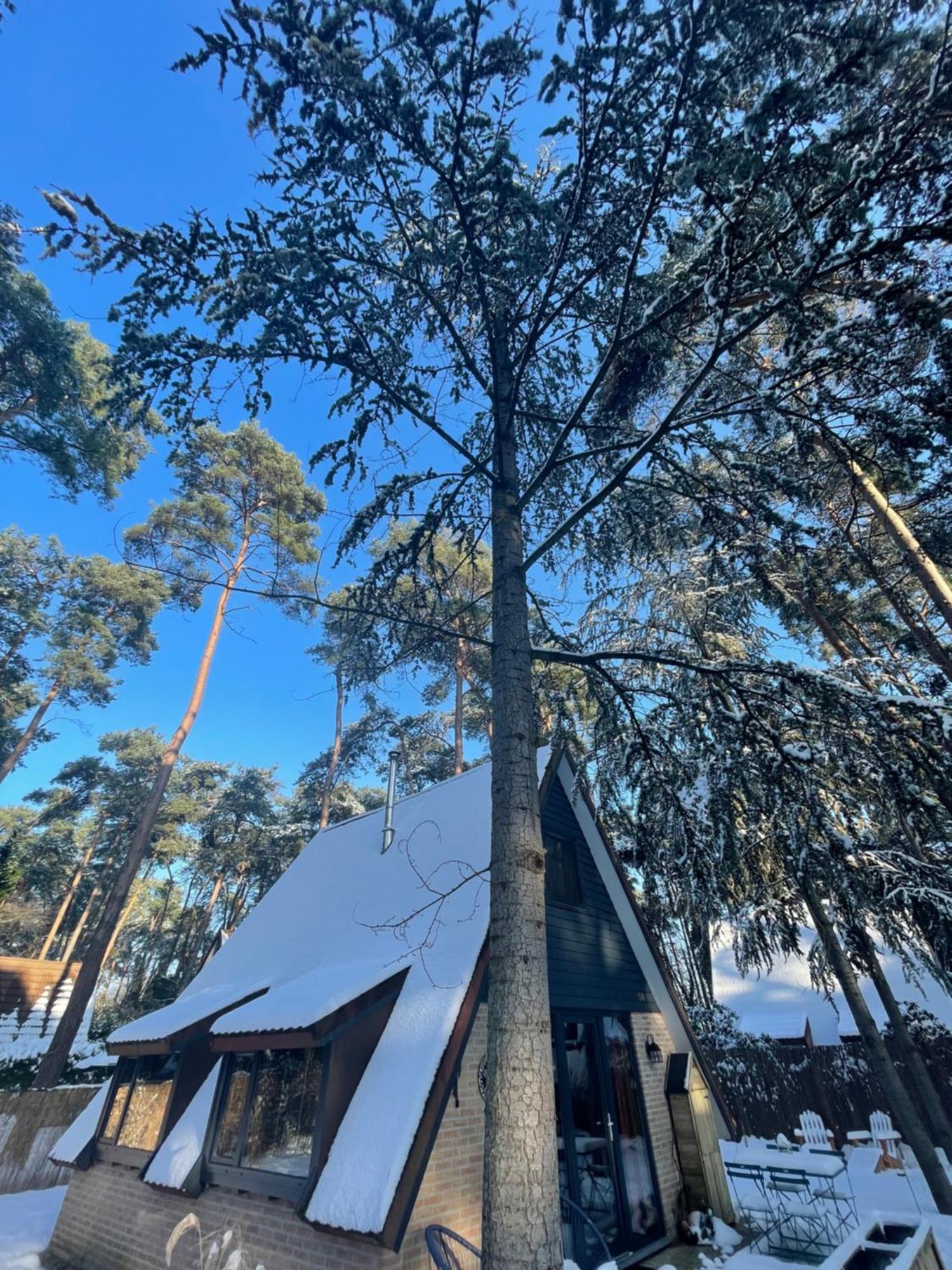 Boshuisje Pinus Sonnevijver Residences Ланакен Экстерьер фото